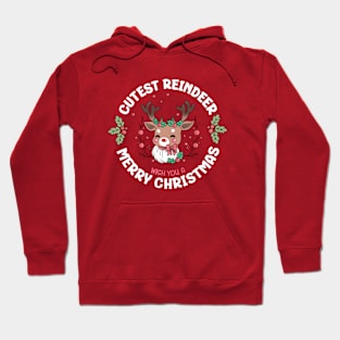 Wish you a Merry Christmas Hoodie